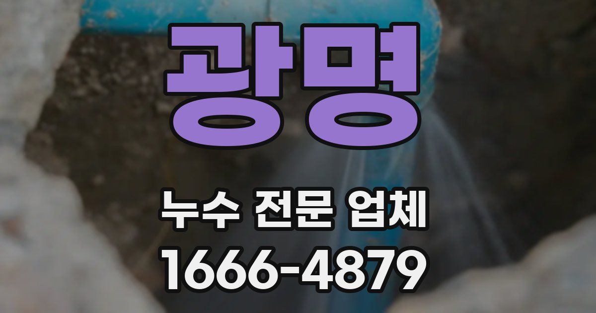 광명 누수 전문 업체