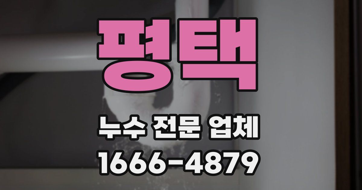 평택 누수 전문 업체