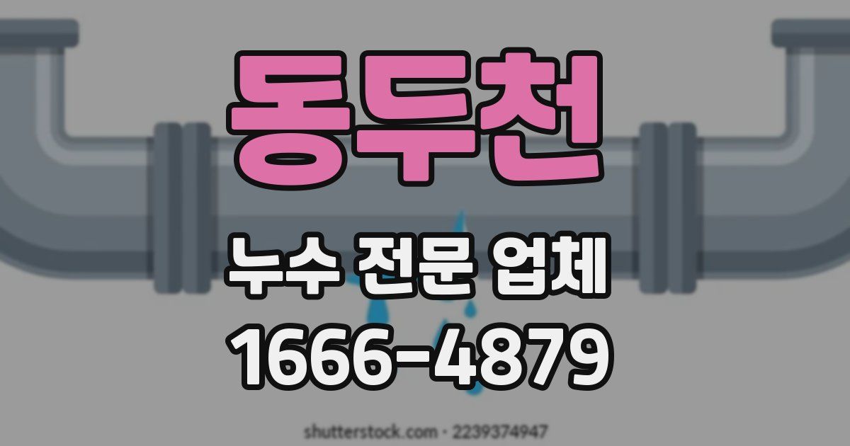 동두천 누수 전문 업체