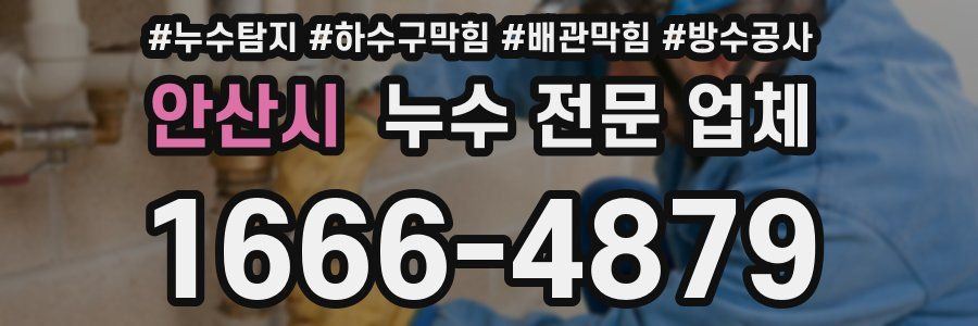 안산시 누수 전문 업체