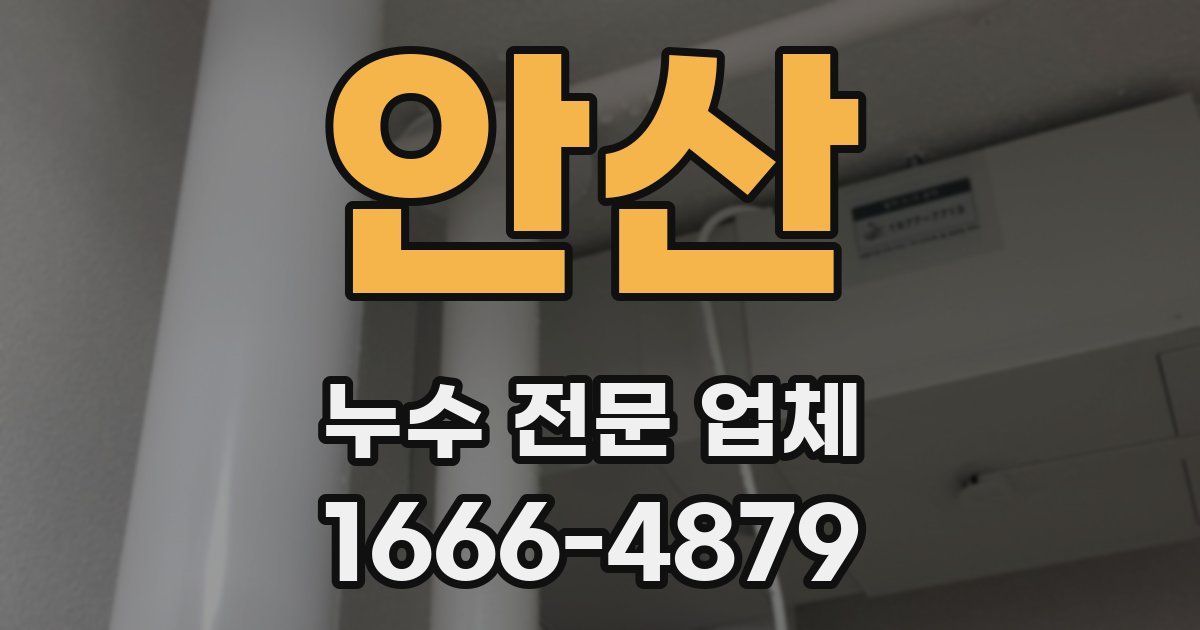 안산 누수 전문 업체