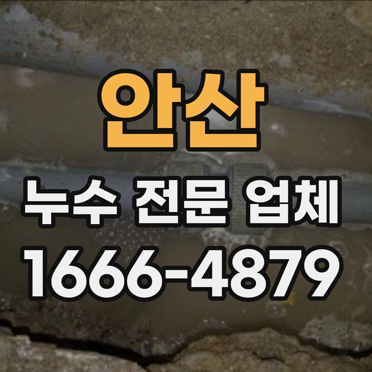 안산 누수 전문 업체