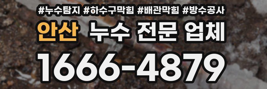 안산 누수 전문 업체