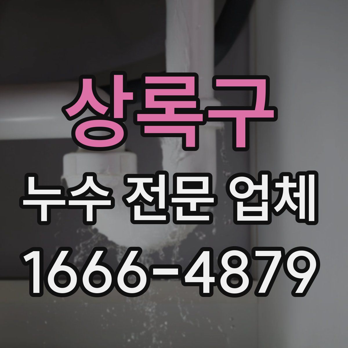 상록구 누수 전문 업체