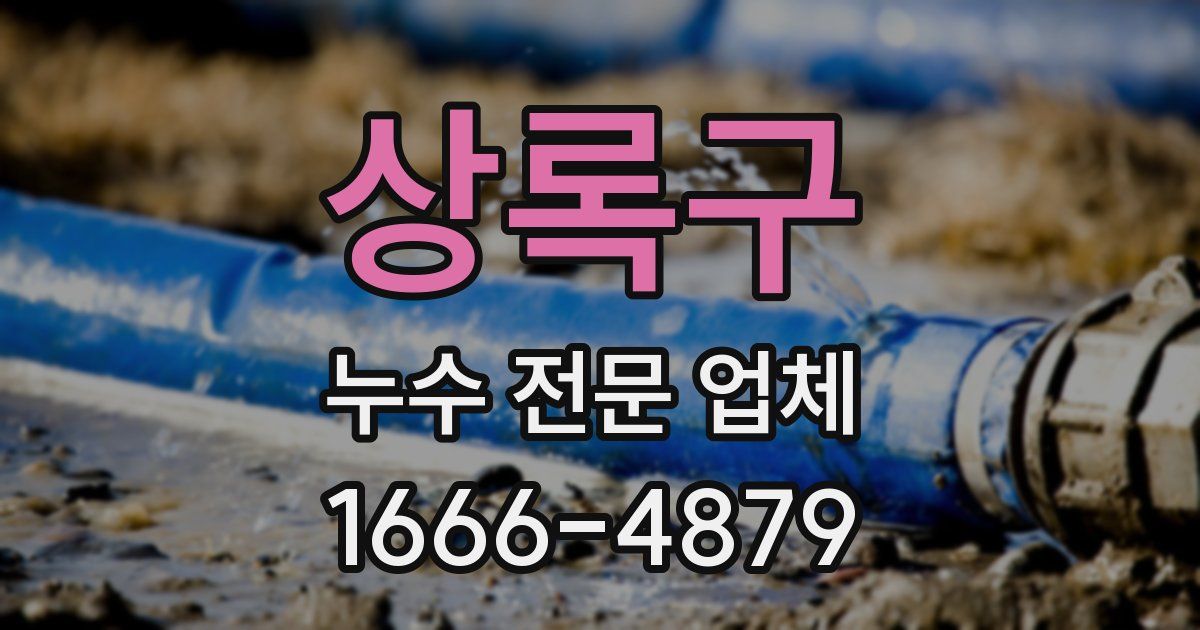 상록구 누수 전문 업체