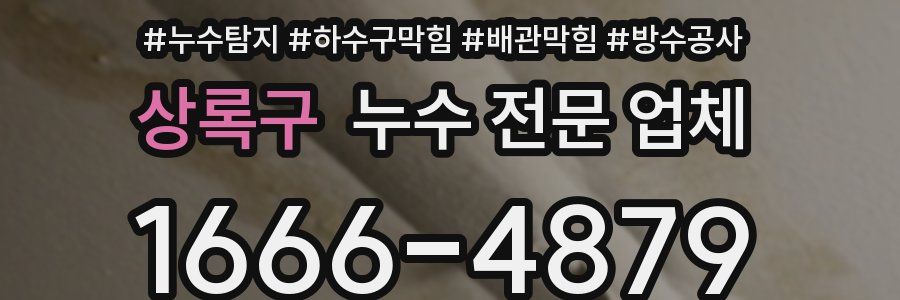 상록구 누수 전문 업체