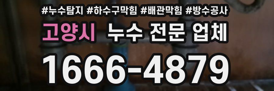 고양시 누수 전문 업체