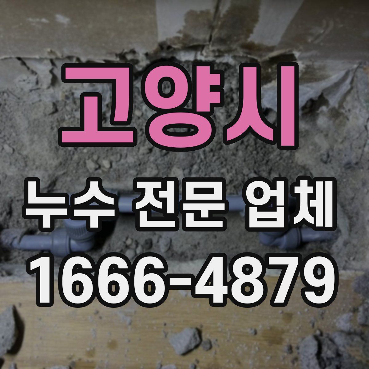 고양시 누수 전문 업체