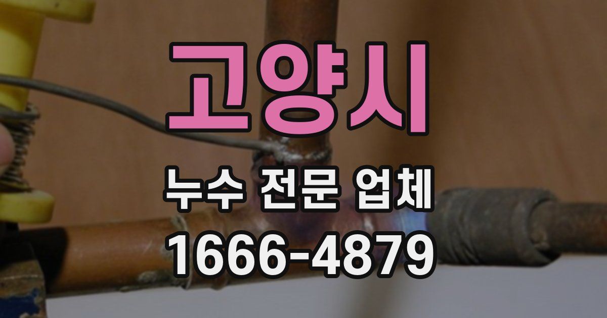 고양시 누수 전문 업체