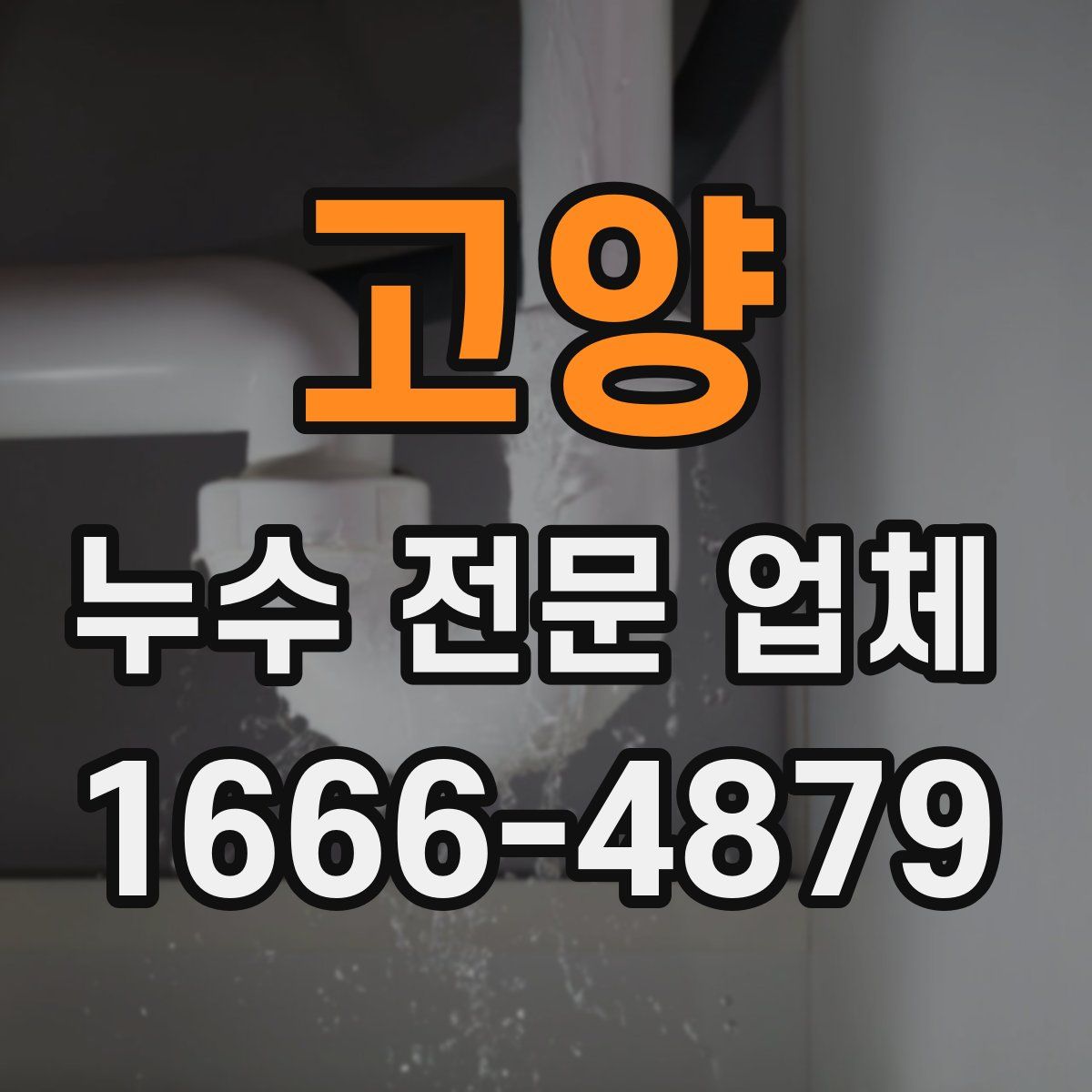 고양 누수 전문 업체