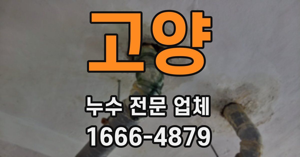 고양 누수 전문 업체