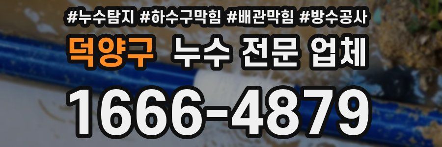 덕양구 누수 전문 업체