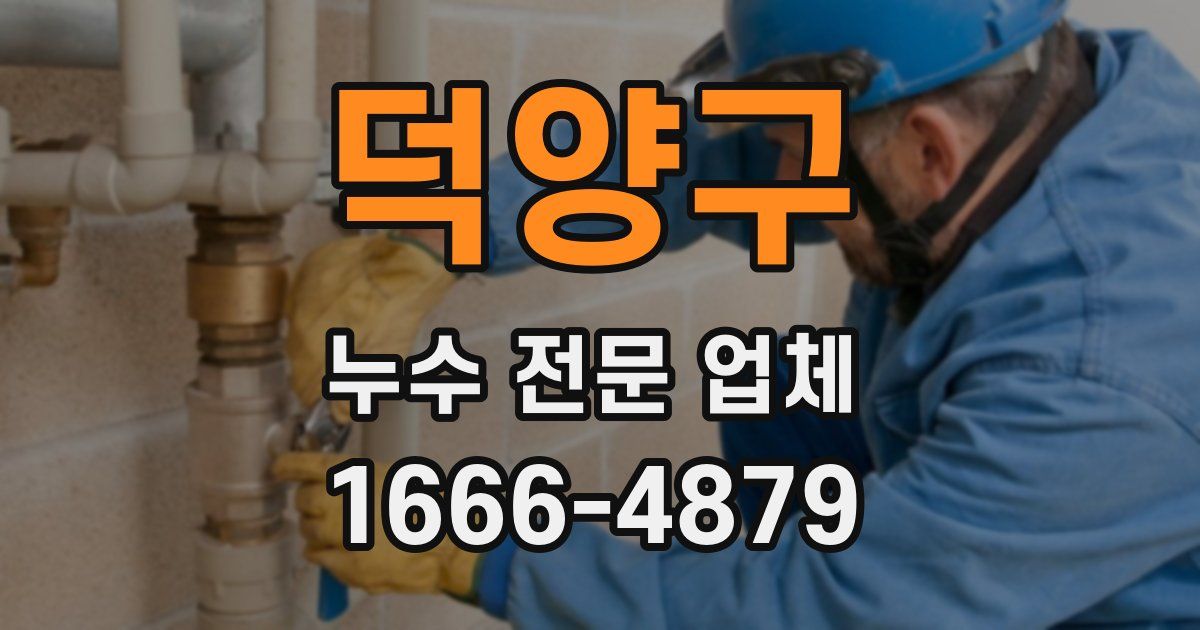 덕양구 누수 전문 업체