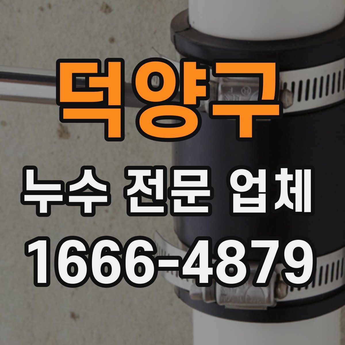 덕양구 누수 전문 업체