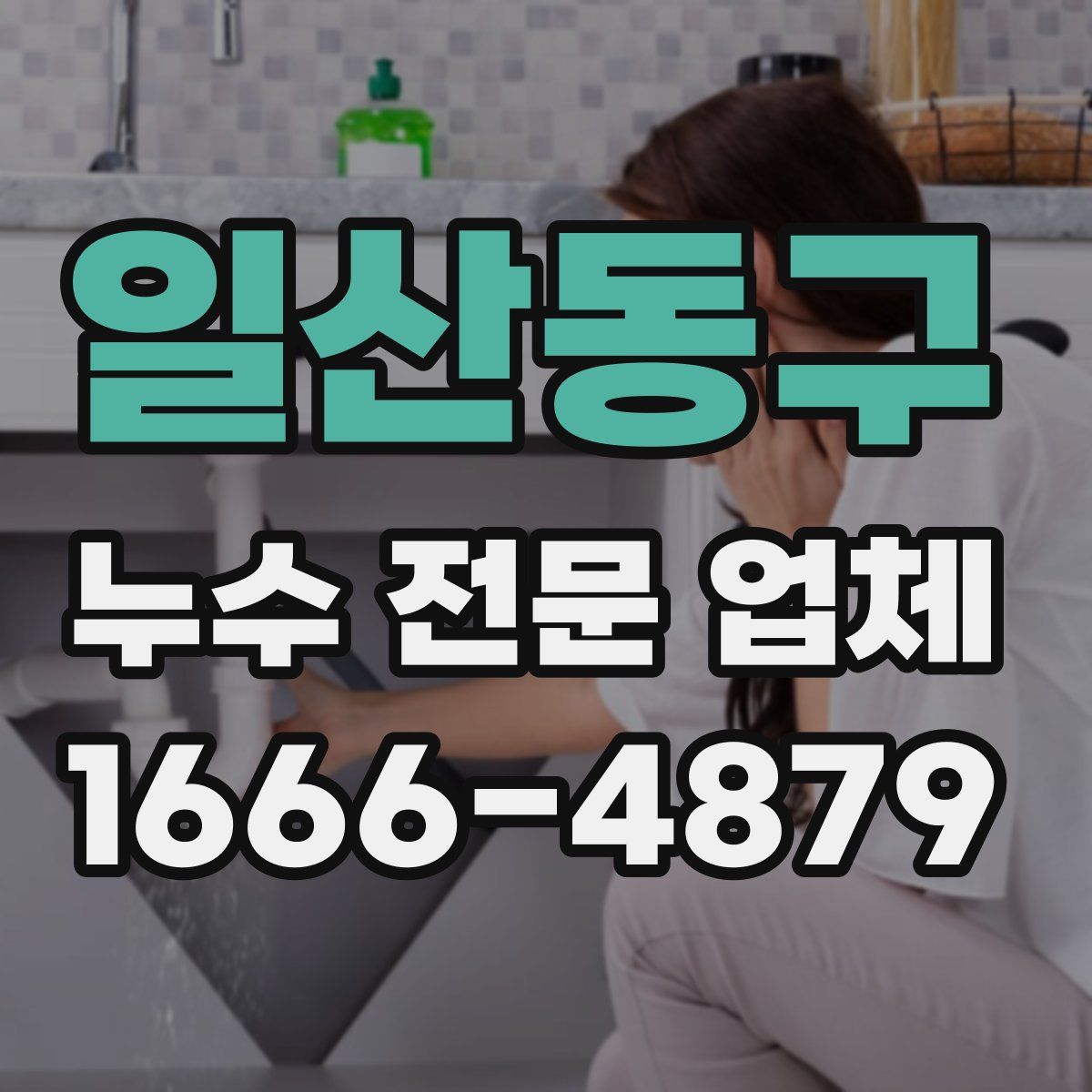 일산동구 누수 전문 업체