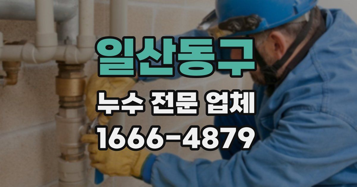 일산동구 누수 전문 업체
