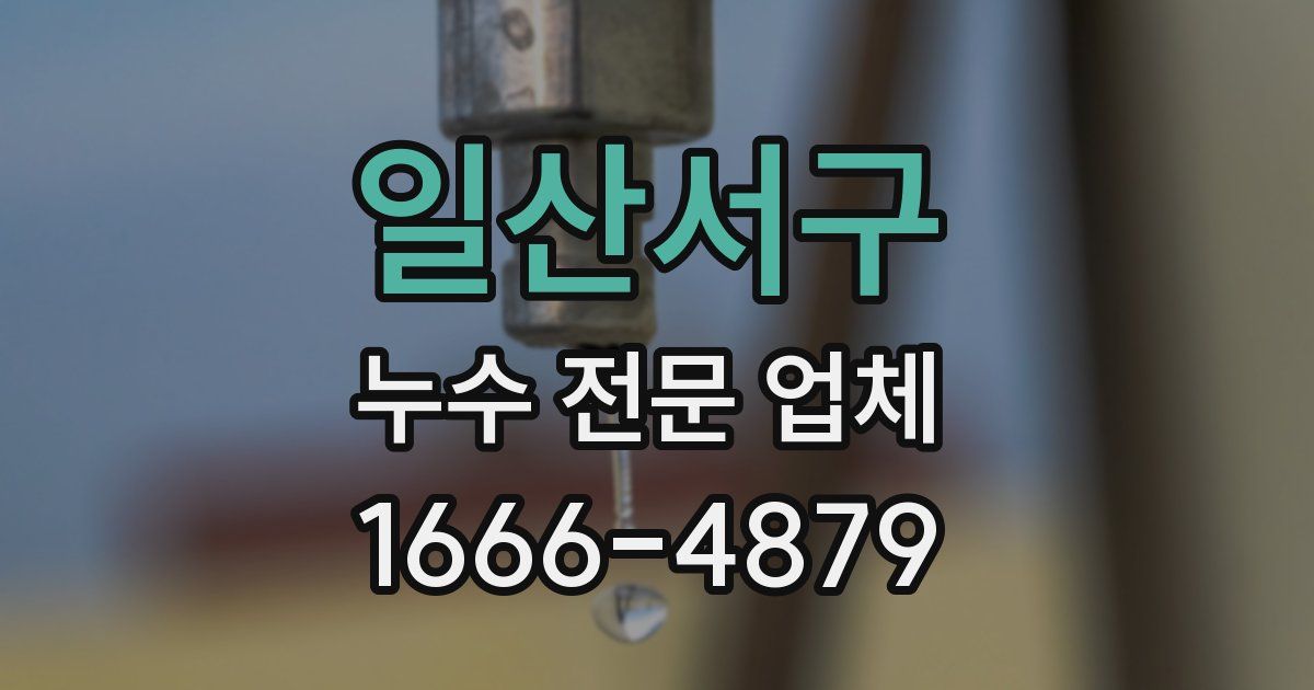 일산서구 누수 전문 업체