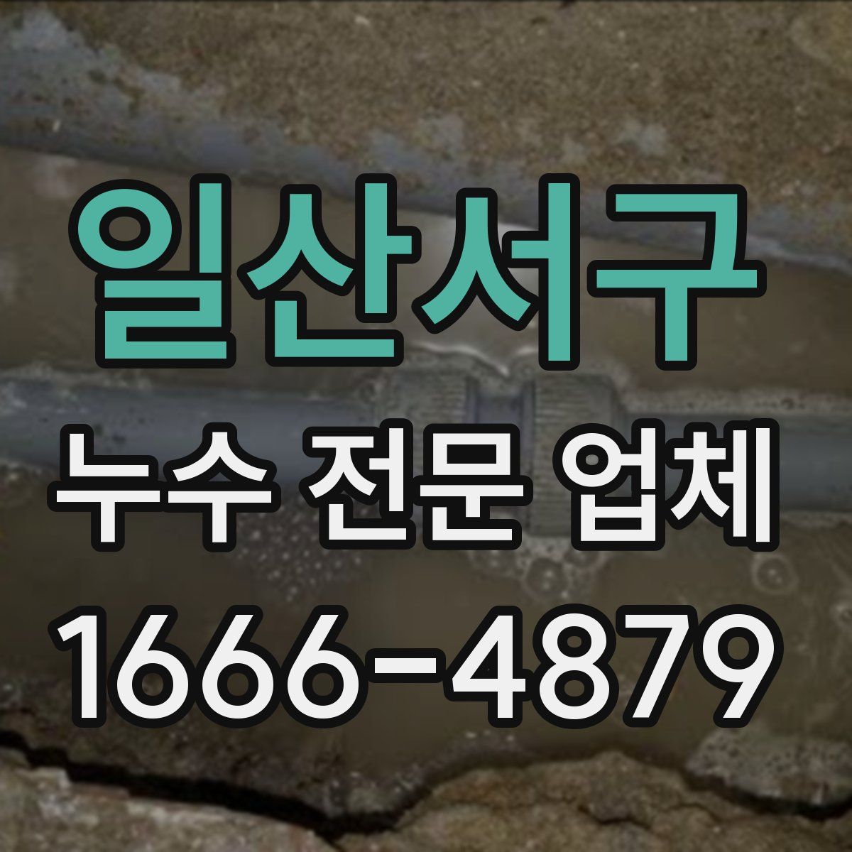 일산서구 누수 전문 업체
