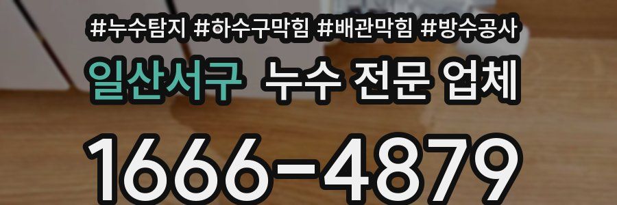 일산서구 누수 전문 업체
