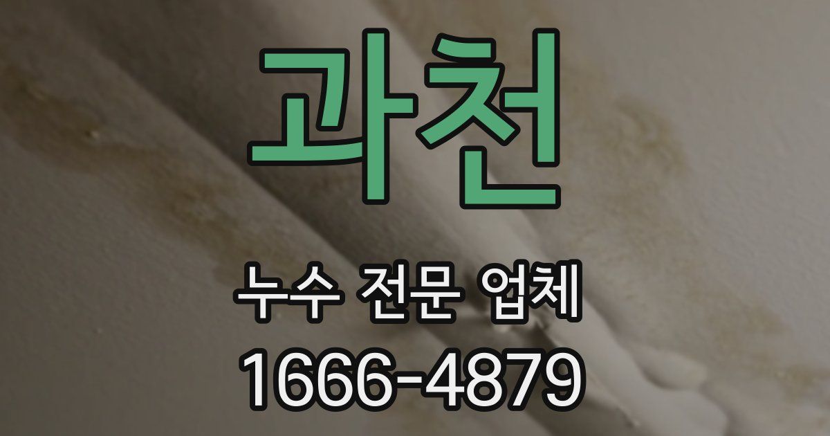 과천 누수 전문 업체