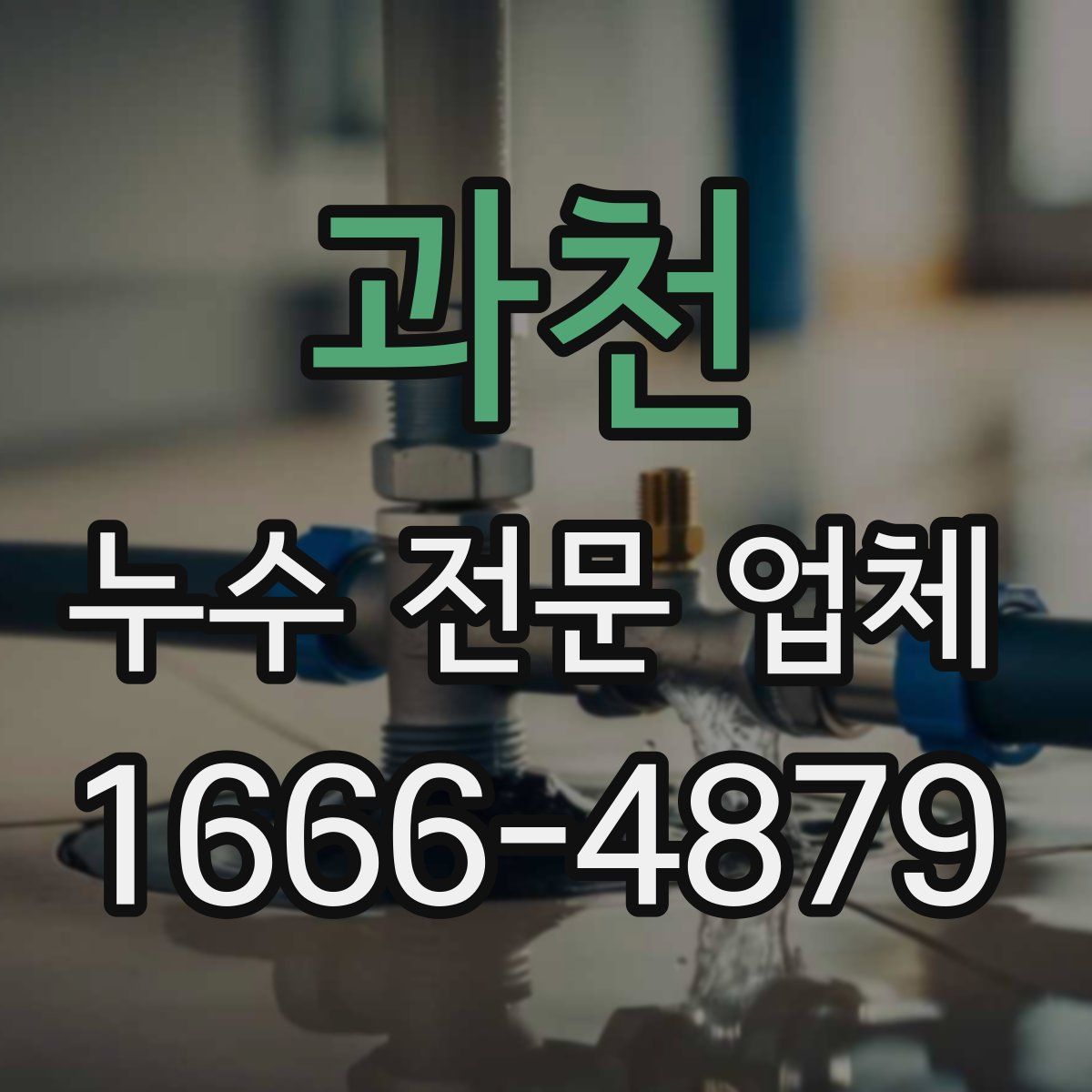 과천 누수 전문 업체
