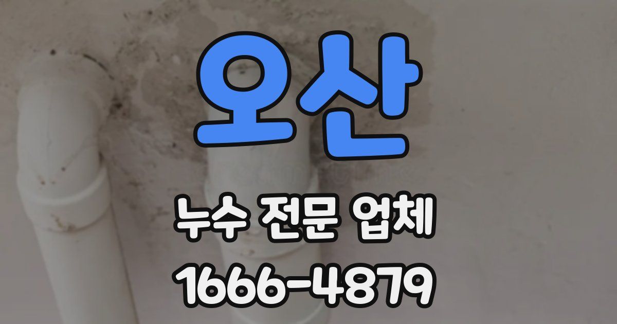 오산 누수 전문 업체