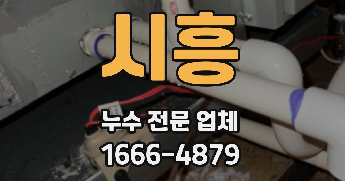 시흥 누수 전문 업체