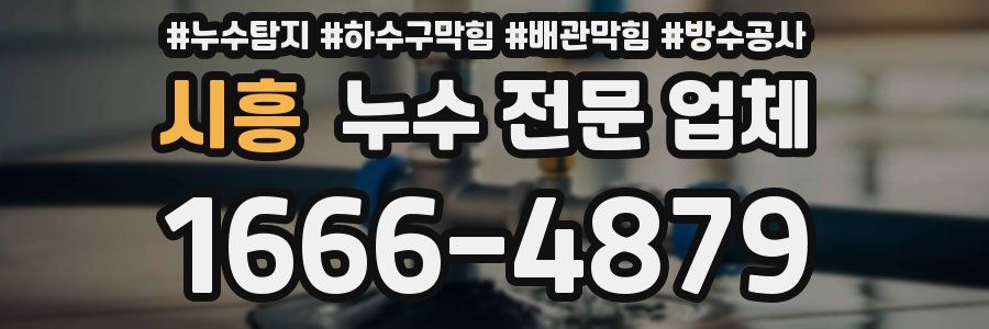 시흥 누수 전문 업체