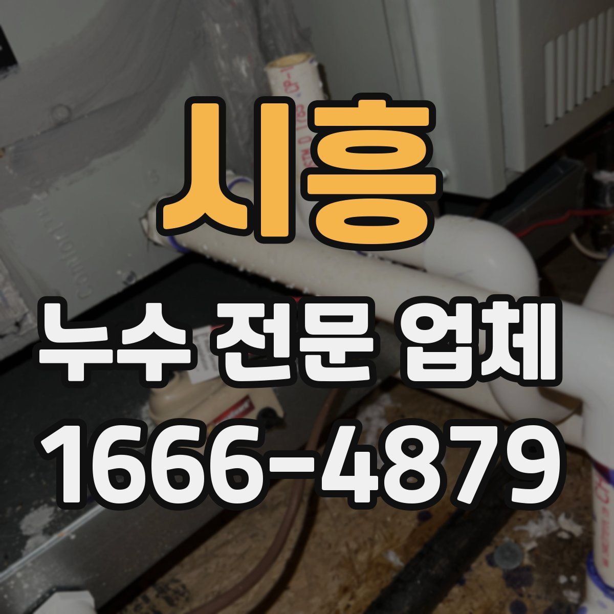 시흥 누수 전문 업체