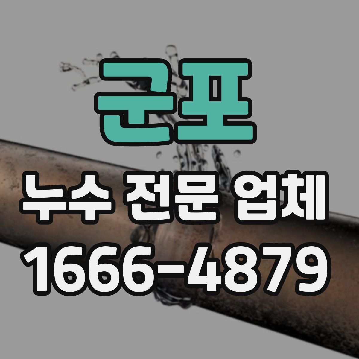 군포 누수 전문 업체