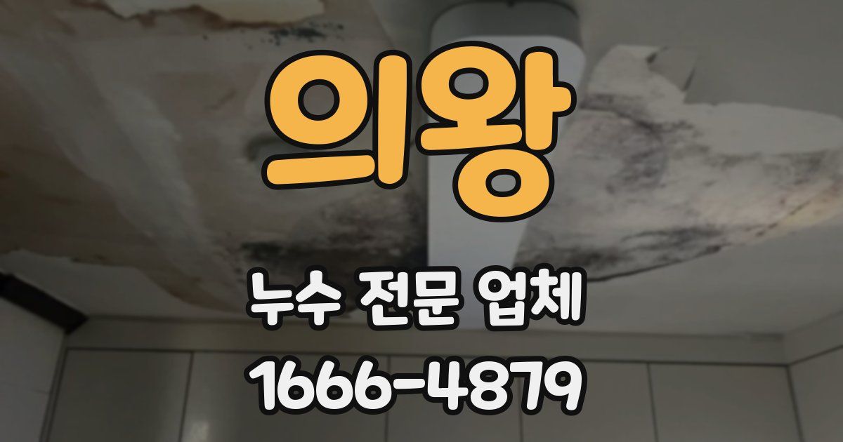 의왕 누수 전문 업체