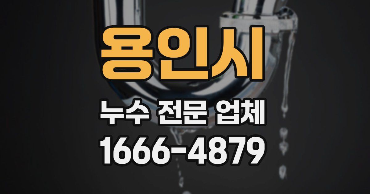 용인시 누수 전문 업체