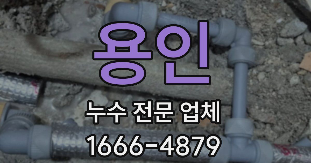 용인 누수 전문 업체