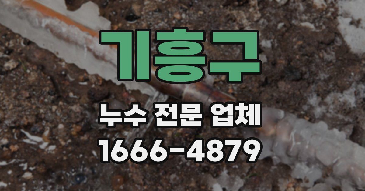 기흥구 누수 전문 업체