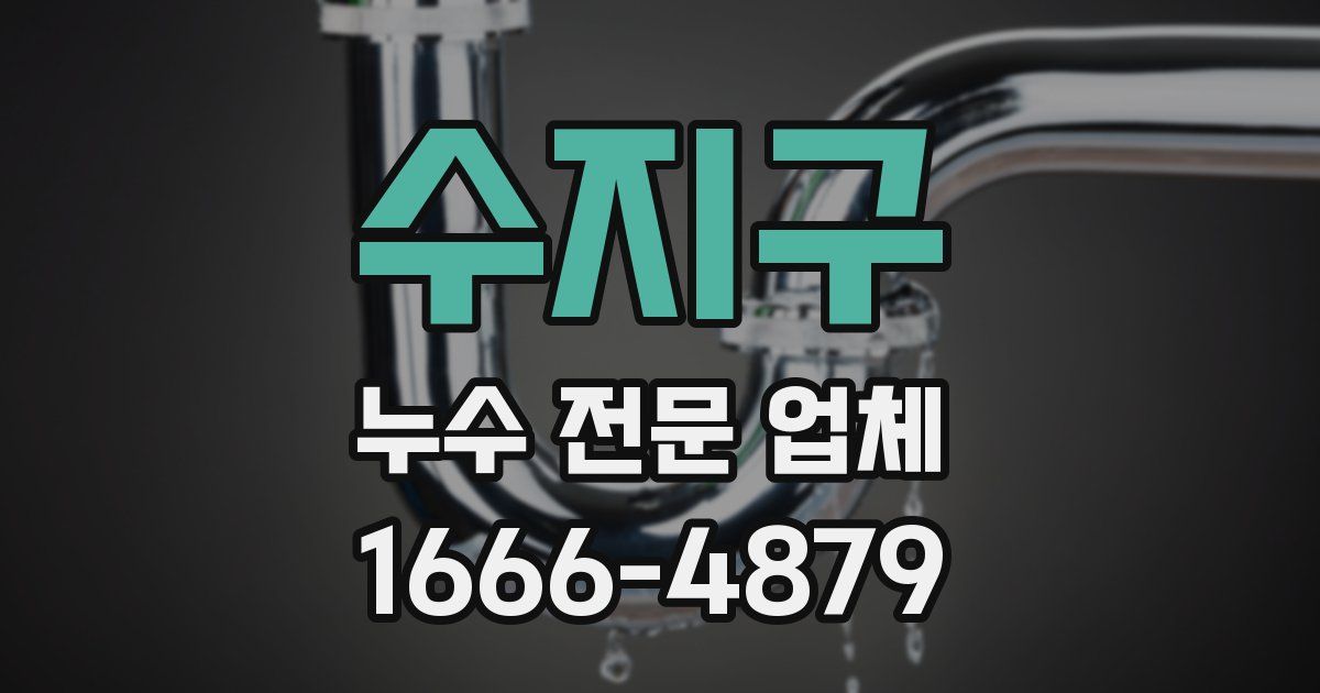 수지구 누수 전문 업체