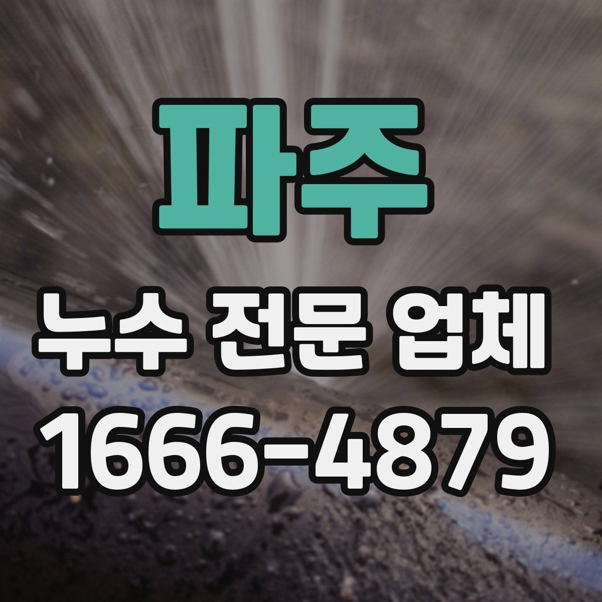 파주 누수 전문 업체