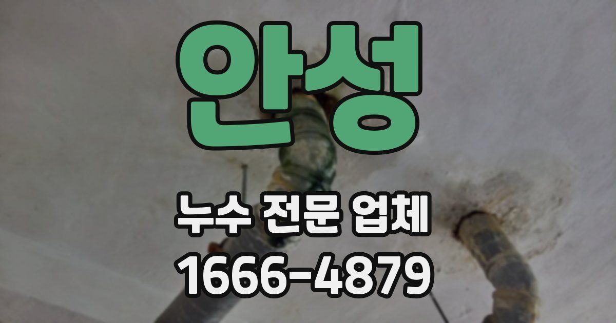 안성 누수 전문 업체