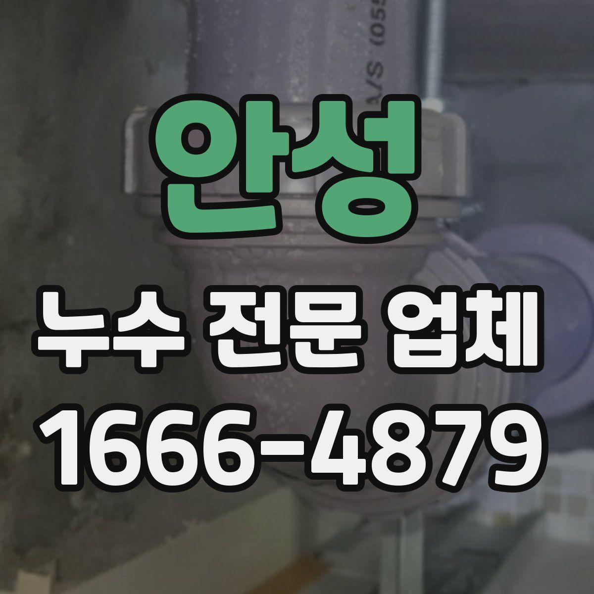 안성 누수 전문 업체