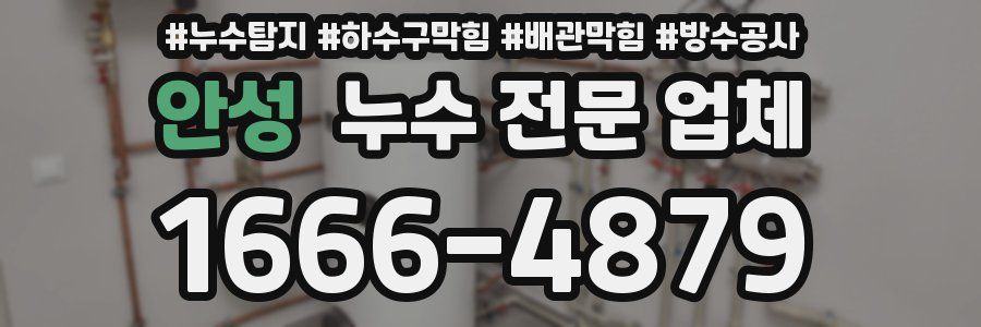 안성 누수 전문 업체