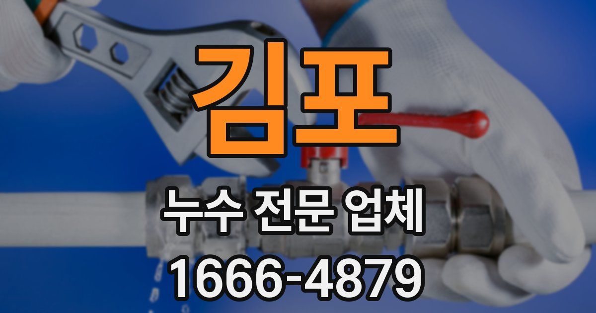 김포 누수 전문 업체