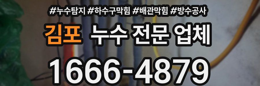 김포 누수 전문 업체