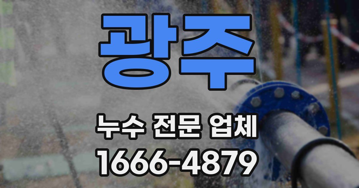 광주 누수 전문 업체