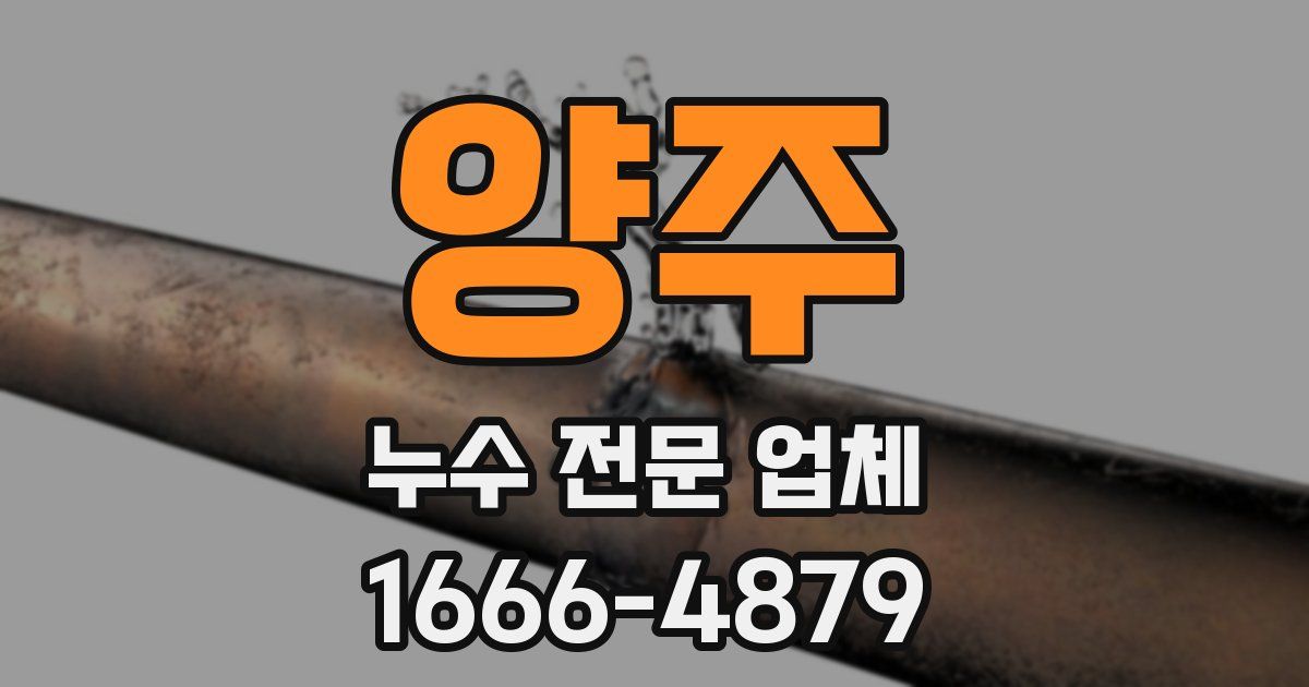 양주 누수 전문 업체