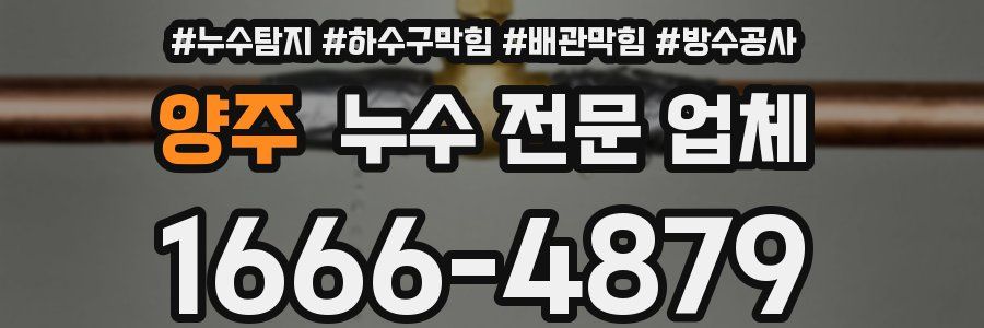 양주 누수 전문 업체