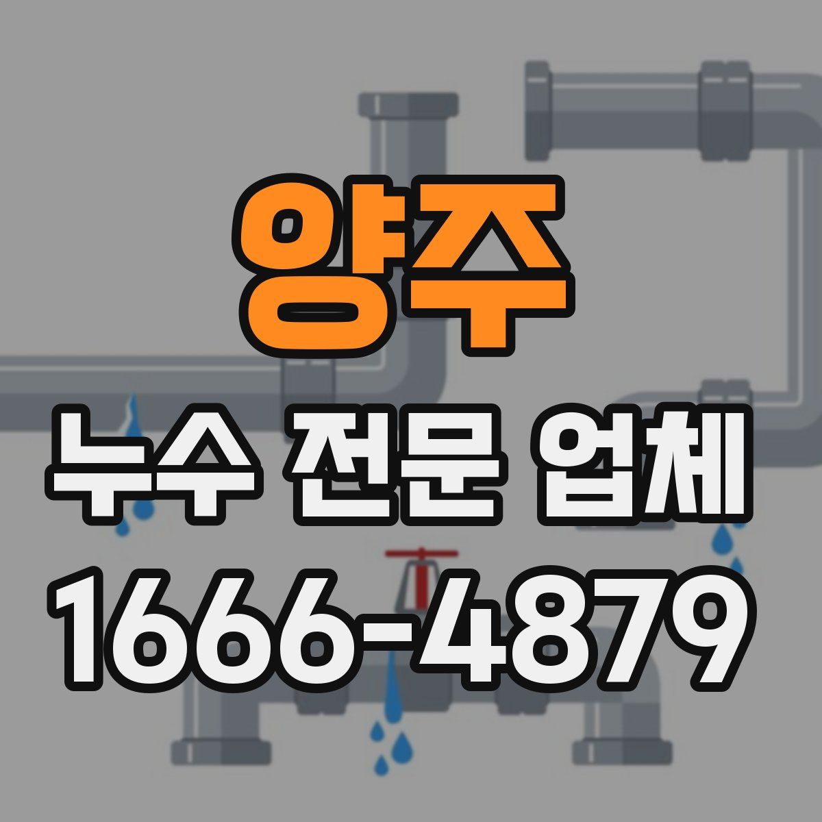 양주 누수 전문 업체