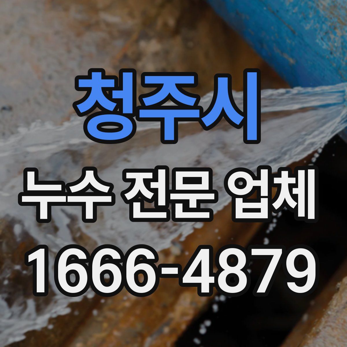 청주시 누수 전문 업체
