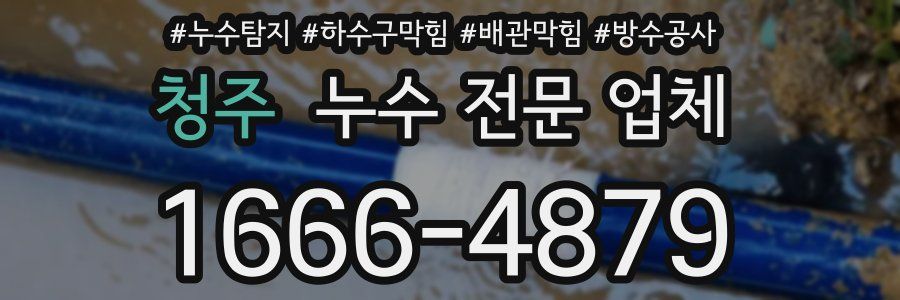 청주 누수 전문 업체