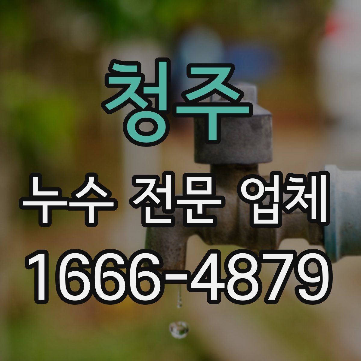 청주 누수 전문 업체