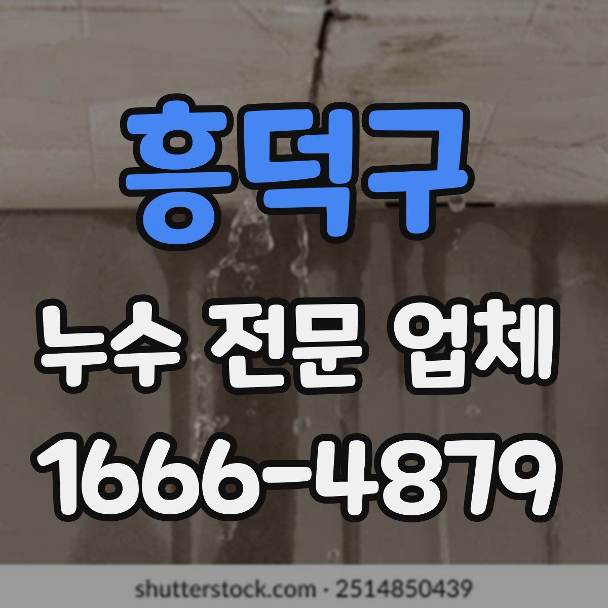 흥덕구 누수 전문 업체