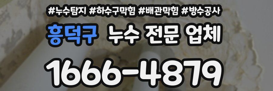 흥덕구 누수 전문 업체